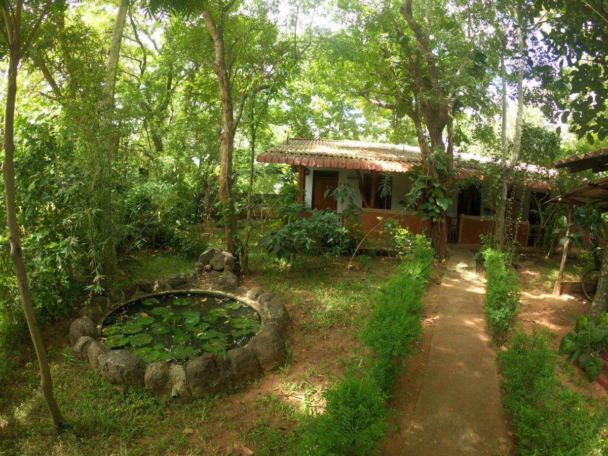 New Sisira Natural Lodge Sigiriya Ngoại thất bức ảnh